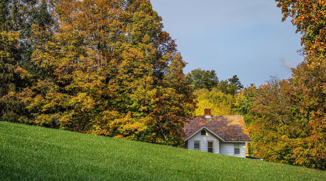 New England Autumn hillside with house