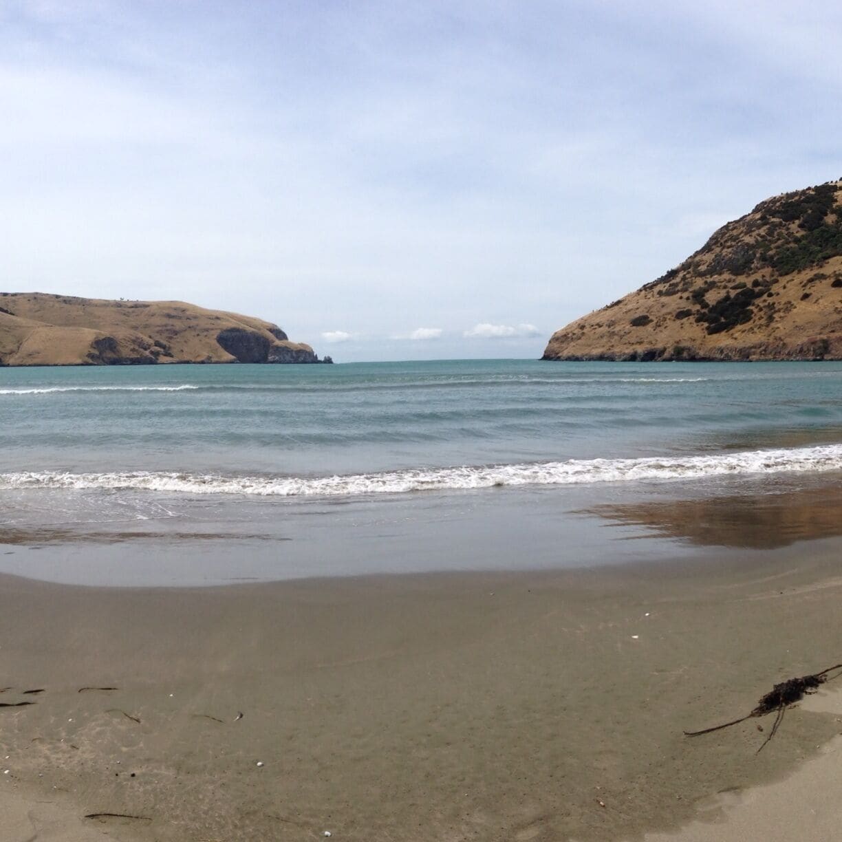 A beach with gentle waves, sandy shore, and hills in the background.