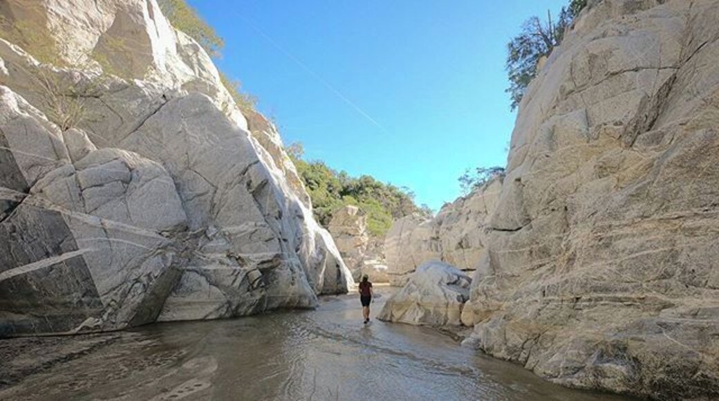When in los Barriles make sure to rent an ATV and take it to La Cienaga Waterfall for a short but beautiful hike and ride!