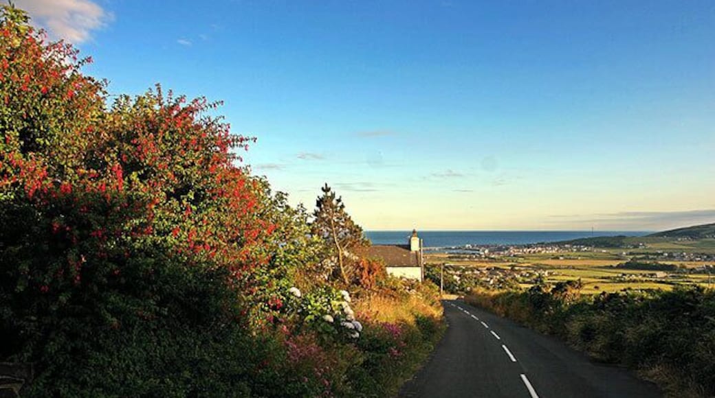 Ballakillowey. Evening light on the A36 heading for Port St.Mary (in the distance). A typical Manx fuchsia hedge on the left.
