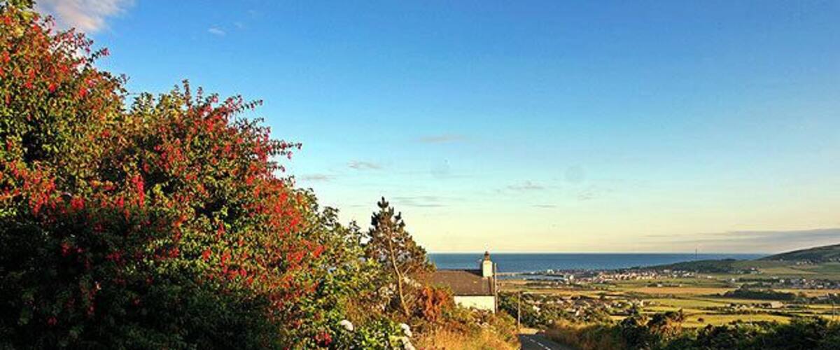 Ballakillowey. Evening light on the A36 heading for Port St.Mary (in the distance). A typical Manx fuchsia hedge on the left.