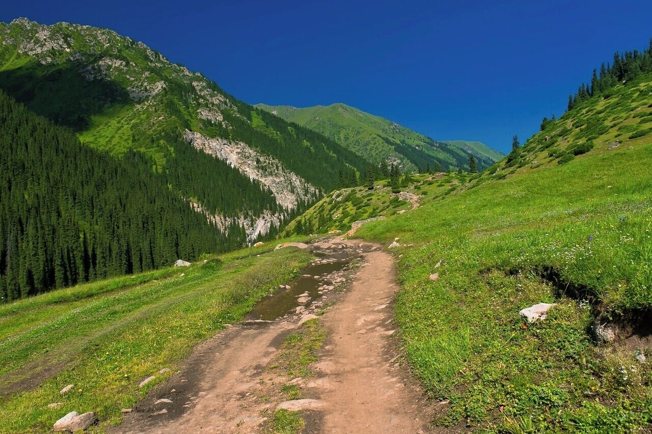August 2013 
Altyn Arashan valley, Terskey Alatau 

On the road from Altyn Arashan village to Ak-su. It takes some 3 to 4 hours to get there and from Ak-su you can stop marshrutka bus to Karakol. The altitude is ca. 2.500 and Ak-su is some 2.000. From Karakol you can catch another marshrutka eastwards along the south shore of Issyk-kul to Kaji Say or Balykchy or westwards to get to the north shore to Cholpon Ata (interesting petroglyphs there). 