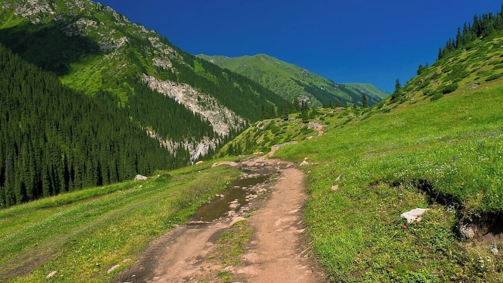 August 2013
Altyn Arashan valley, Terskey Alatau
On the road from Altyn Arashan village to Ak-su. It takes some 3 to 4 hours to get there and from Ak-su you can stop marshrutka bus to Karakol. The altitude is ca. 2.500 and Ak-su is some 2.000. From Karakol you can catch another marshrutka eastwards along the south shore of Issyk-kul to Kaji Say or Balykchy or westwards to get to the north shore to Cholpon Ata (interesting petroglyphs there).
