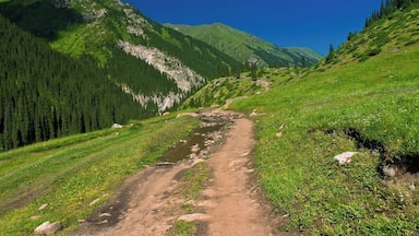 A dirt path through a mountainous area with dense forests and rocky terrain.