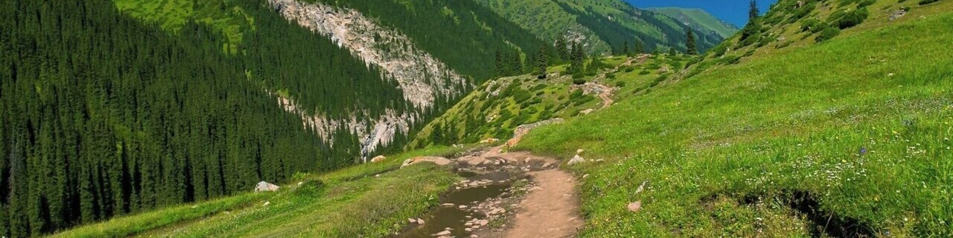 August 2013
Altyn Arashan valley, Terskey Alatau
On the road from Altyn Arashan village to Ak-su. It takes some 3 to 4 hours to get there and from Ak-su you can stop marshrutka bus to Karakol. The altitude is ca. 2.500 and Ak-su is some 2.000. From Karakol you can catch another marshrutka eastwards along the south shore of Issyk-kul to Kaji Say or Balykchy or westwards to get to the north shore to Cholpon Ata (interesting petroglyphs there).