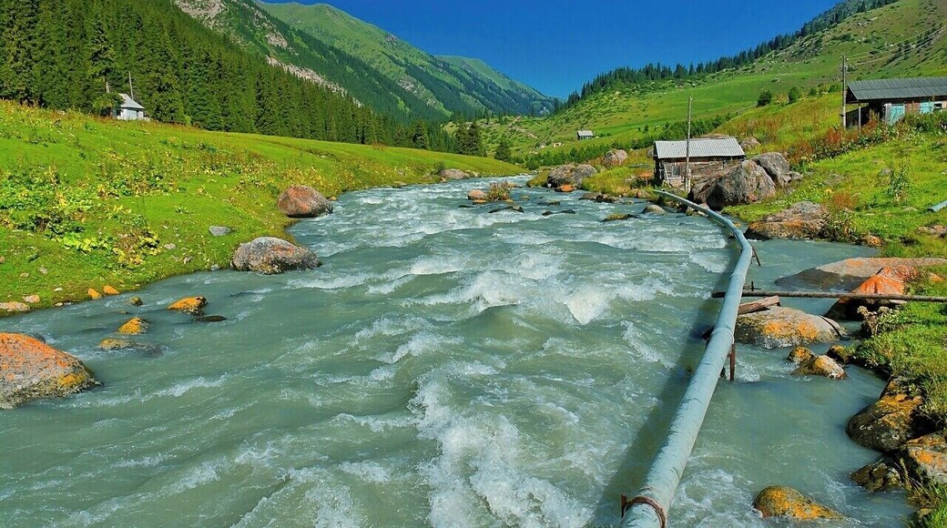 August 2013
Altyn Arashan, Terskey Alatau, Tian Shan mountains, Kyrgyzstan
View of Arashan river in the village of Altyn Arashan located in a lush valley where sheep and horses are herded by locals. The pipe is for hot water coming from near springs to concrete basins for relaxing bathing. The water is naturally very hot (45 degrees Celsius) and sulphuric. For equivalent of few dollars you can enjoy it anytime of the day. The water in the river is on the opposite very cold and wild even in summer months. This place is in altitude of 2.500 metres and some 4 hours of hike from Ak-su village near Karakol town.