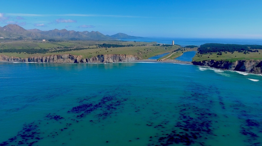 Kelp beds aligned with the rock striations of the island