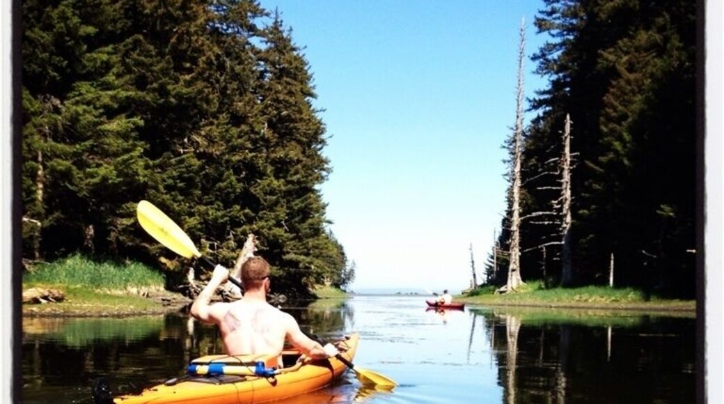 Salt lake on woody island