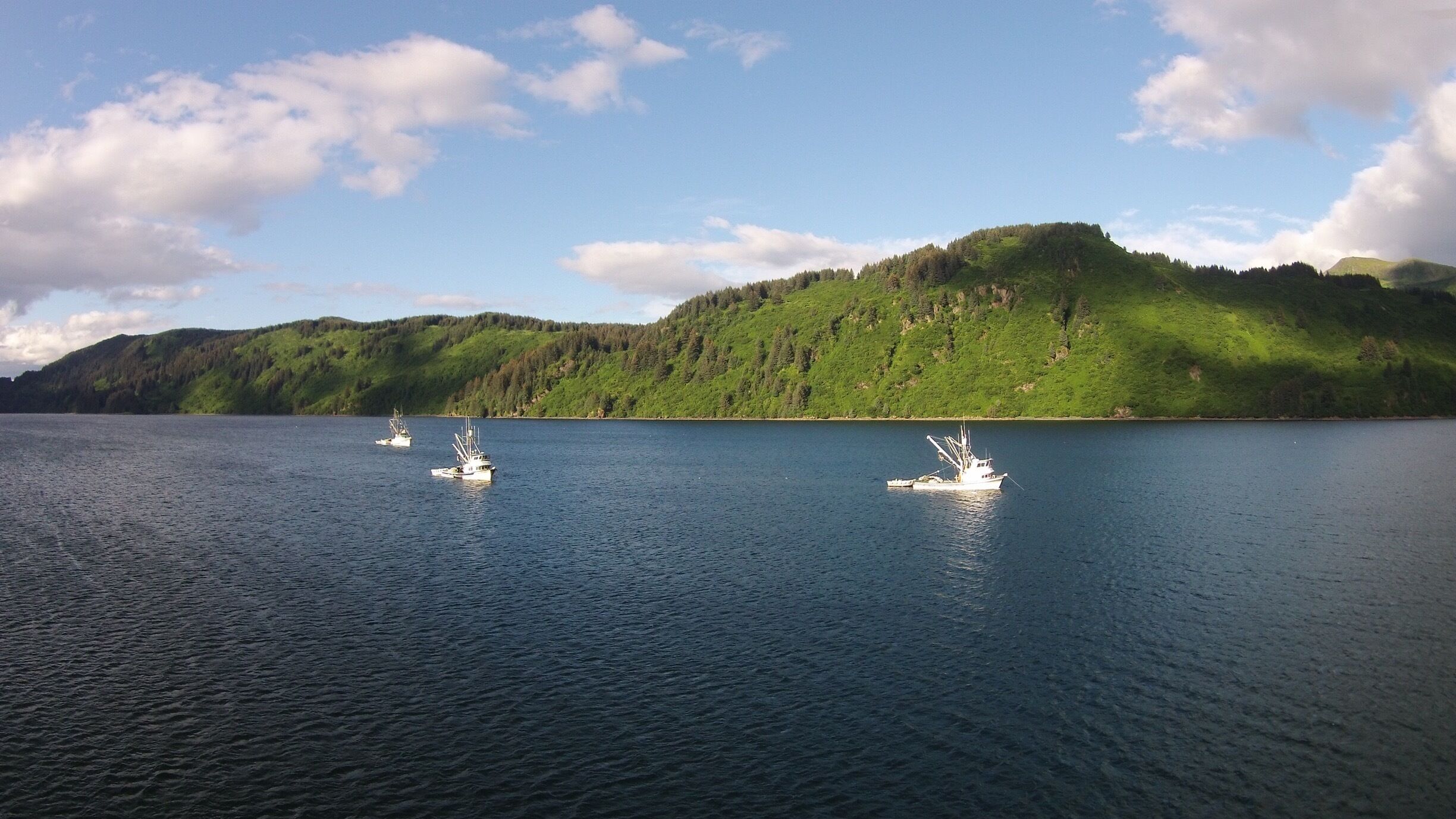 Salmon seiners at anchor