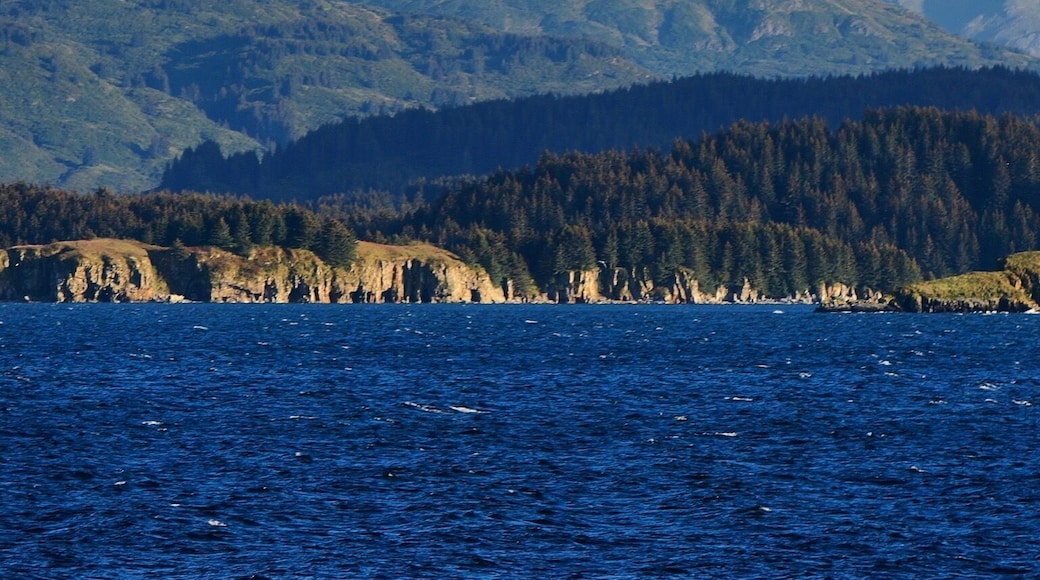 A view of pyramid mount from the Port Lions/whale Island side