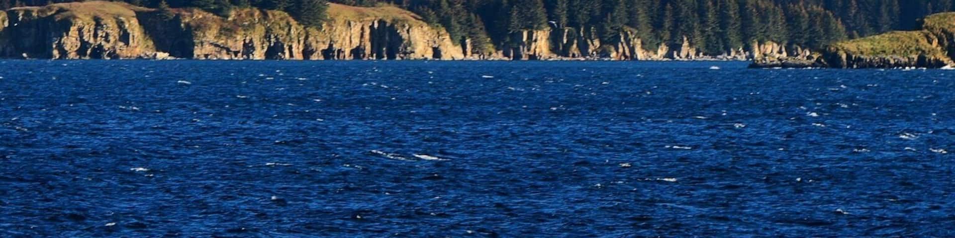 A view of pyramid mount from the Port Lions/whale Island side