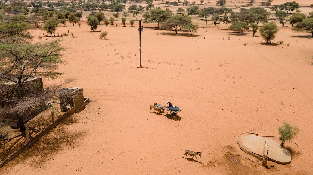 Aerial view of arid lands punctuated by sporadic trees, a simple structure, and individuals on donkey-drawn carts under a vast sky, Khol Khol, Louga Region, Senegal.
