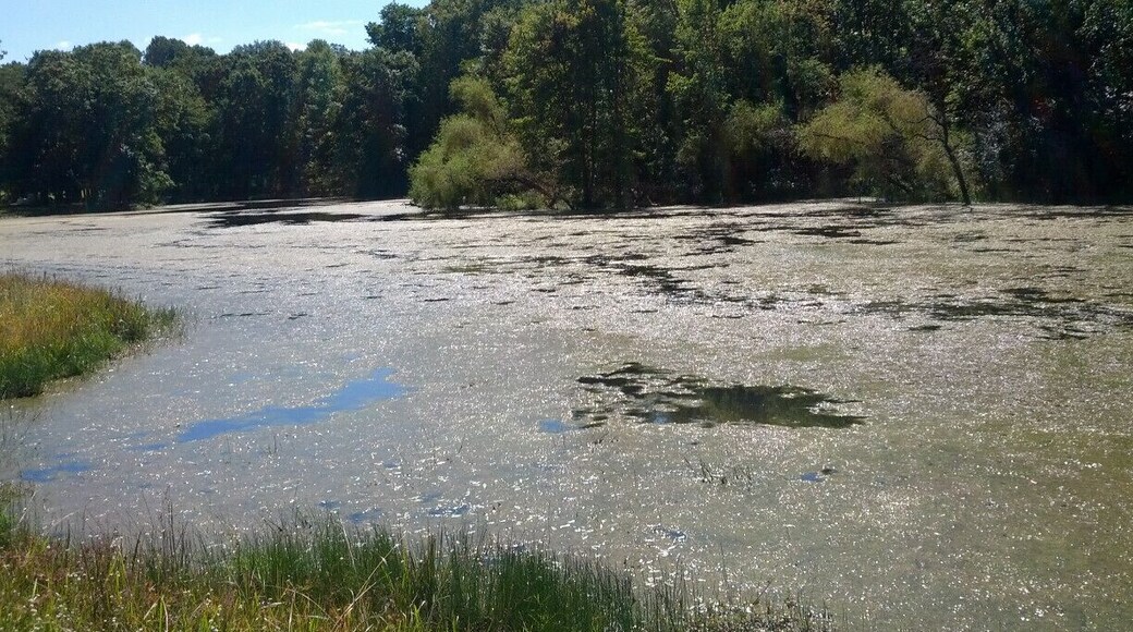 A sunny shot of one of the fingers of Lake Snowden.