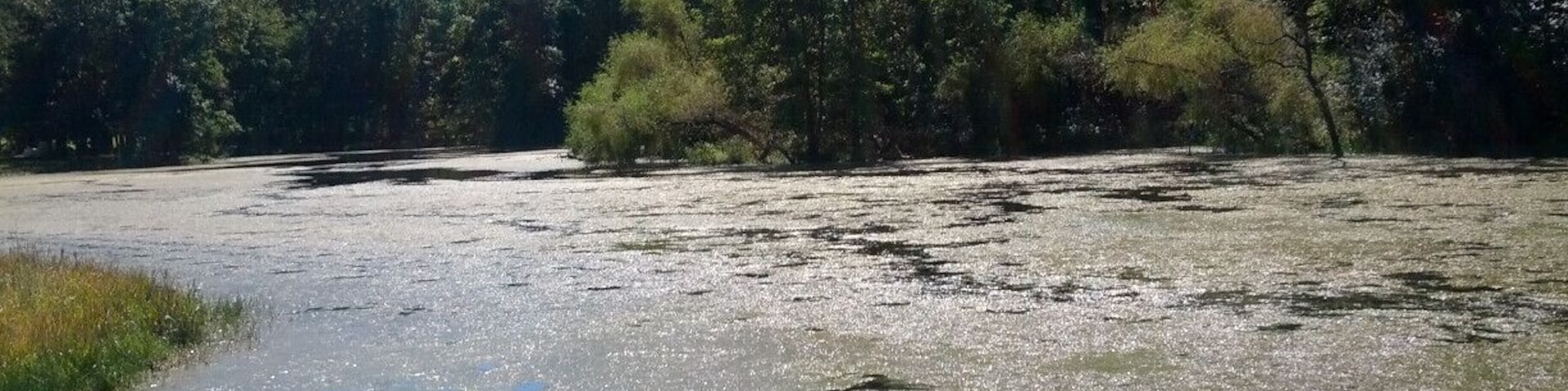 A sunny shot of one of the fingers of Lake Snowden.