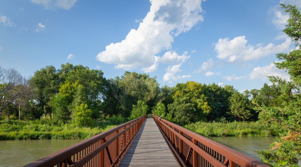 wooden bridge in the park