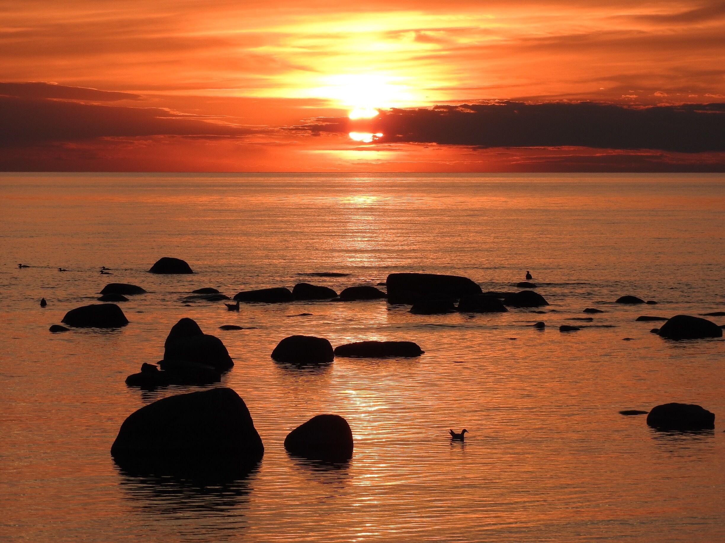 Every Sunset is unique #BeachBound