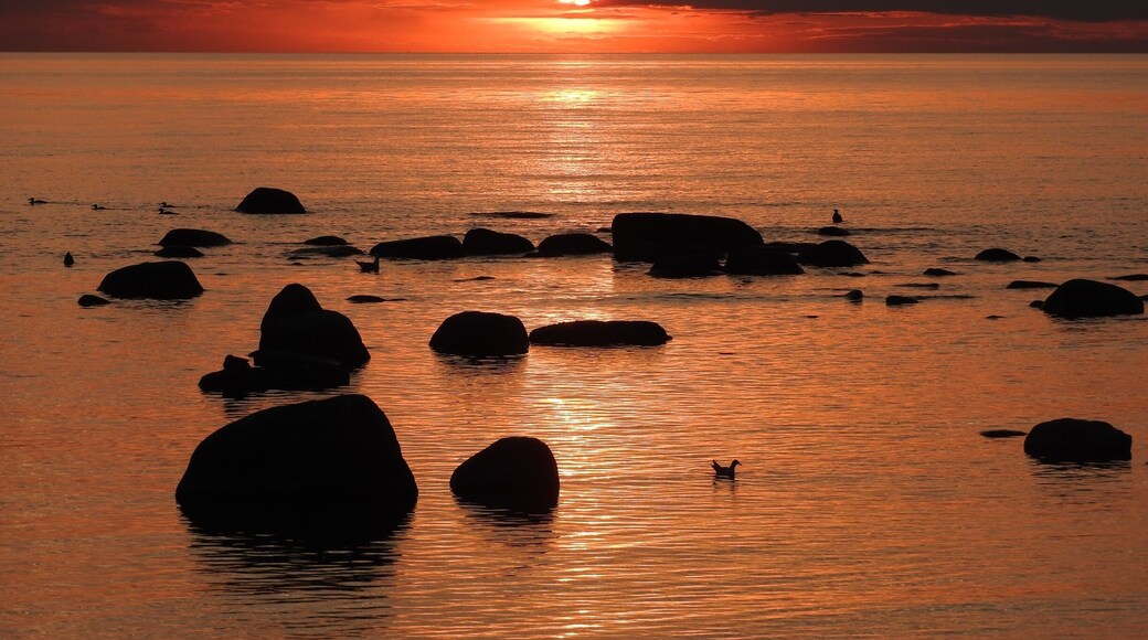 Every Sunset is unique #BeachBound