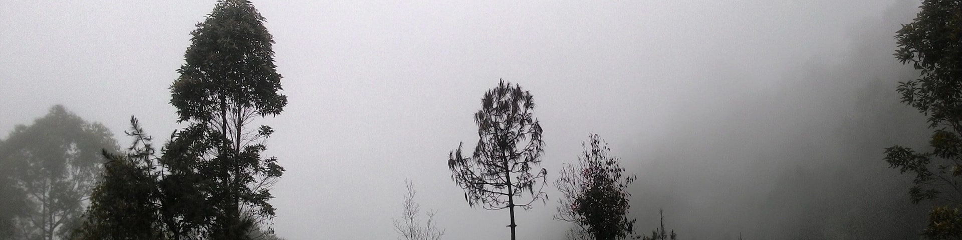 Alone.
Silent.
Scared.
Tired.
Dehydrated.
Never hike without any preparation.
I wore only running shoes, jeans, Expedia Polo, and a bottle of water.
This thought me to be humble and never underestimate.
#LifeAtExpediaGroup