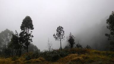 Alone.
Silent.
Scared.
Tired.
Dehydrated.
Never hike without any preparation.
I wore only running shoes, jeans, Expedia Polo, and a bottle of water.
This thought me to be humble and never underestimate.
#LifeAtExpediaGroup