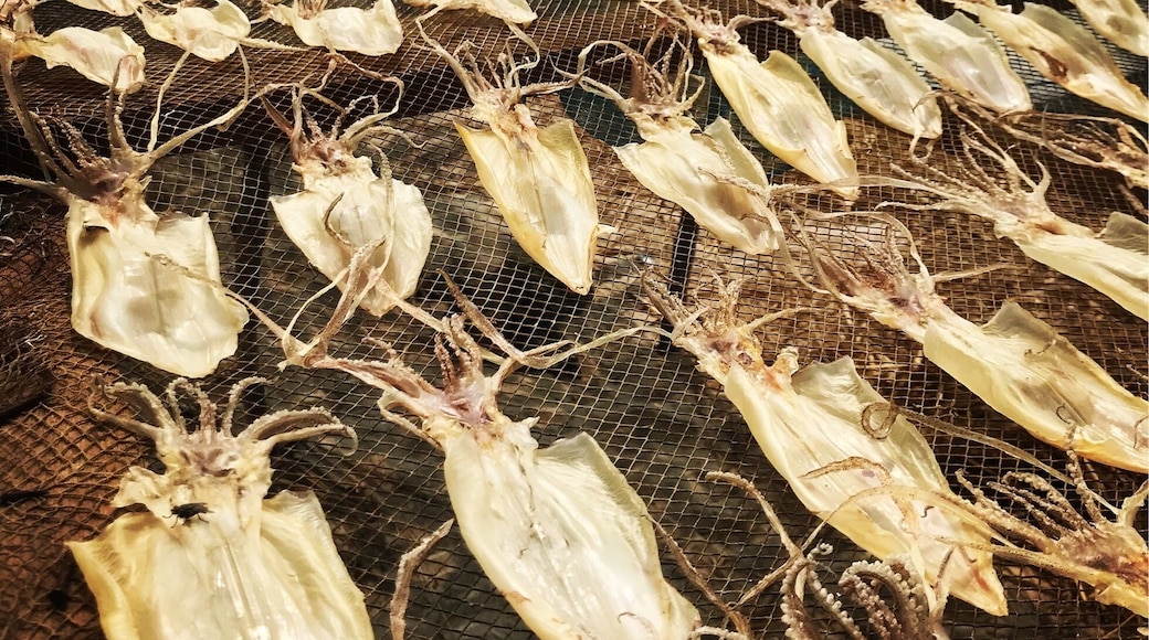 Calamari drying by the beach.