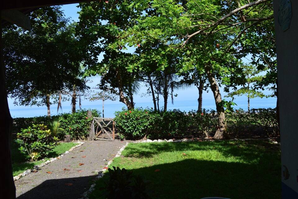 A garden with a pathway leading to a wooden structure, surrounded by lush greenery and trees, overlooking a body of water.