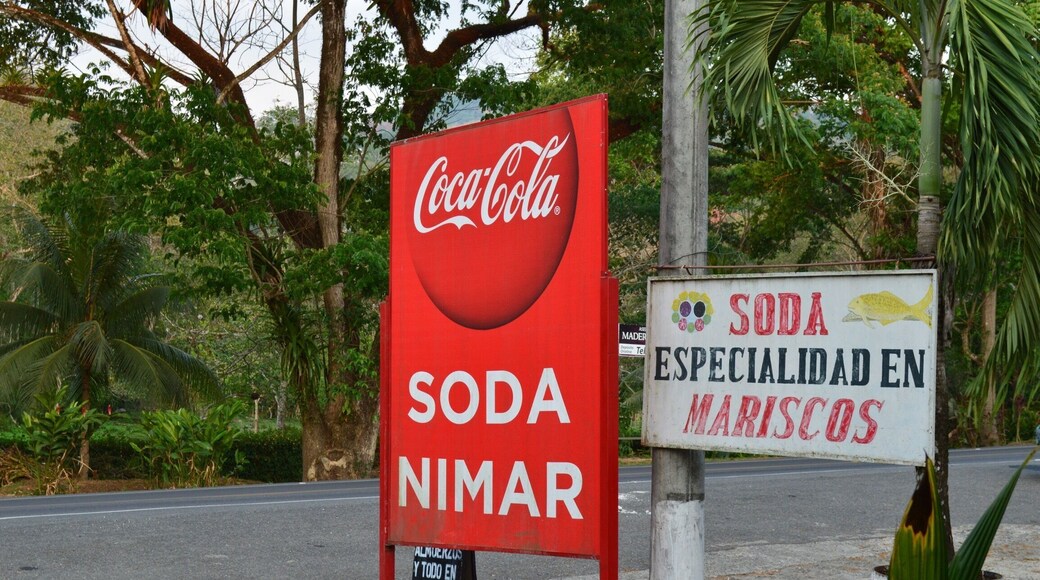 Just near playa agujas is this soda by the road. Really good food!