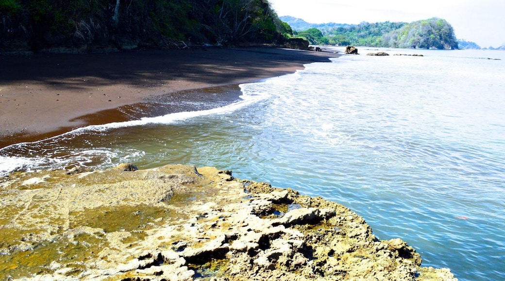 This beach was amazing. So secluded during the week