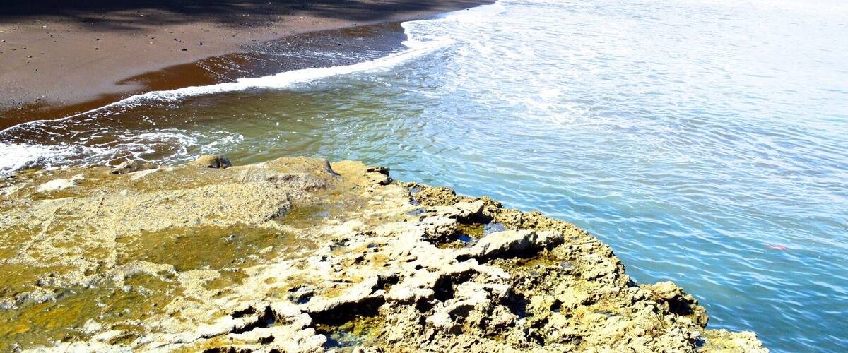 A beach with a rocky foreground, a sandy shore, and a forested hill in the background.
