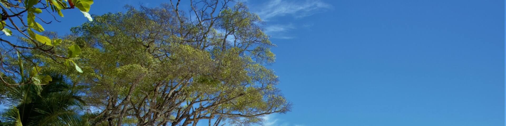 The beautiful Playa Barrigona, Costa Rica