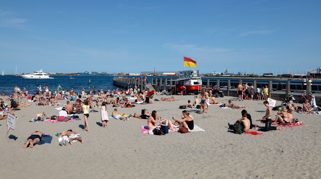 Plage de Svanemølle