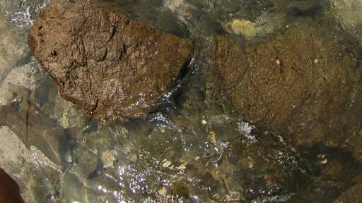 Hidden beach, clear water and silent surrounding area.. nice dor camp #art #beach