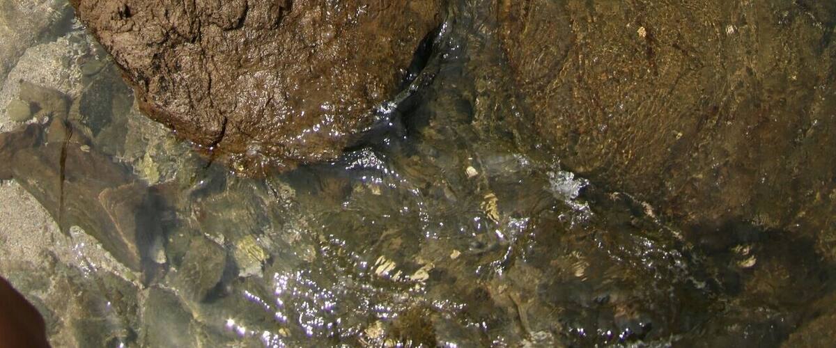 A rocky shoreline with clear water and waves crashing against the rocks.