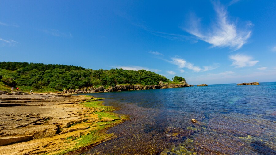 ชายหาดบากีร์กันลึ