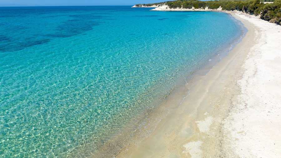 North Aegean shorelines Pissa Bay aerial photography. Pissa koyu - Dikili - Izmir - Turkey.