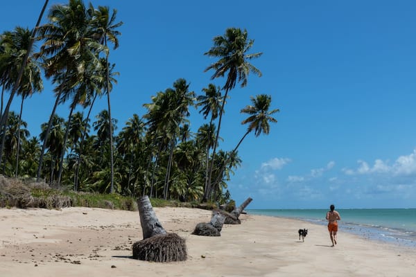 Porto de Pedras / Alagoas / Brazil. December, 1, 2019. Praia do Patacho on the north coast of the state of Alagoas, in northeastern Brazil. The place is known for its vast coconut groves, strips of wh