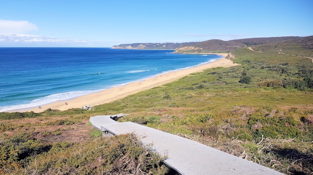 Raised Walkway Down to Burwood Beach New South Wales