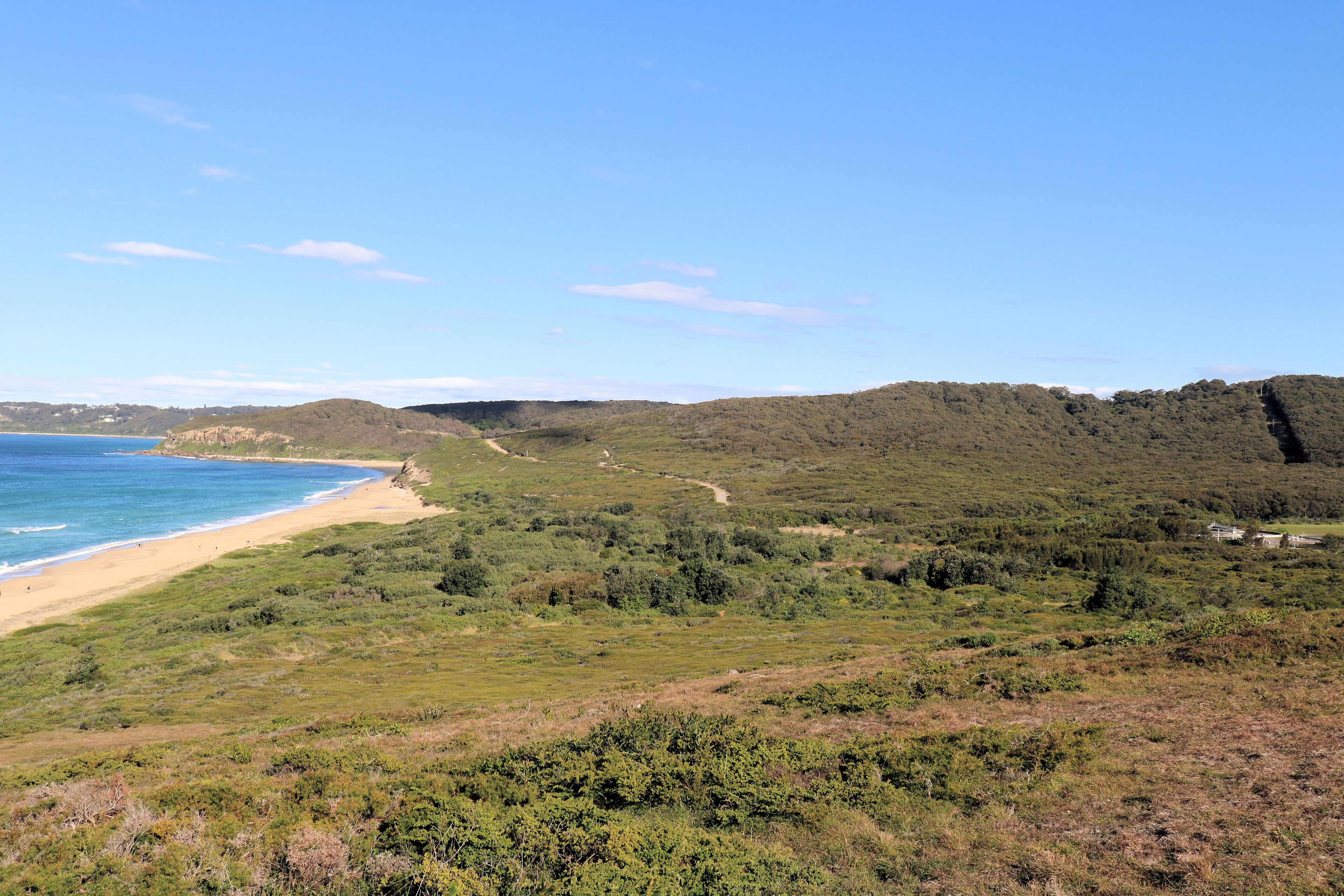 Burwood Beach with Australian Bush Growing Down to the Sand