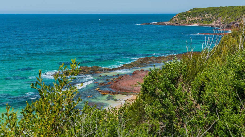 Middle Beach featuring general coastal views and rugged coastline