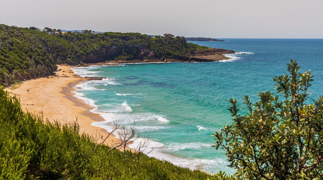 Middle Beach showing a beach, landscape views and general coastal views