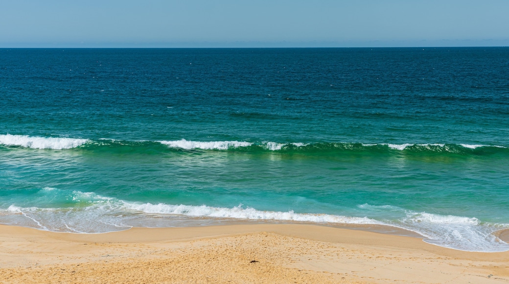 Middle Beach showing a sandy beach and general coastal views
