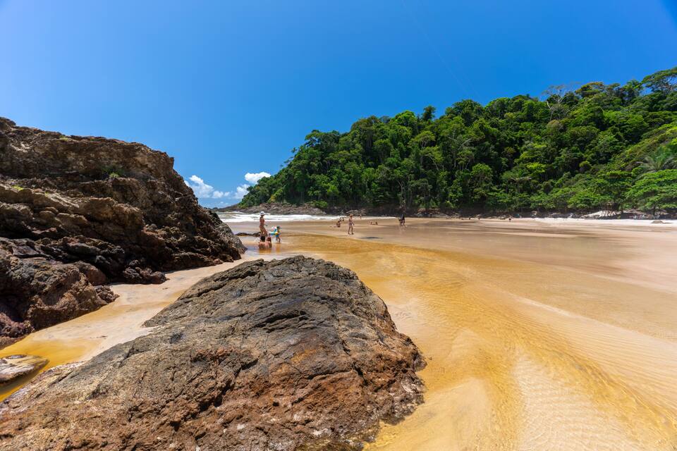 Une plage aux eaux cristallines, bordée de formations rocheuses, avec une forêt verdoyante et luxuriante en arrière-plan.