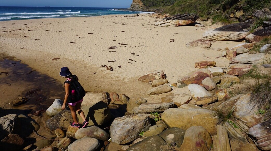Throw back to hiking through the Royal National Park ! Sydney weather has been beautiful so far this "winter" (if it even qualifies as winter), need to get back out there