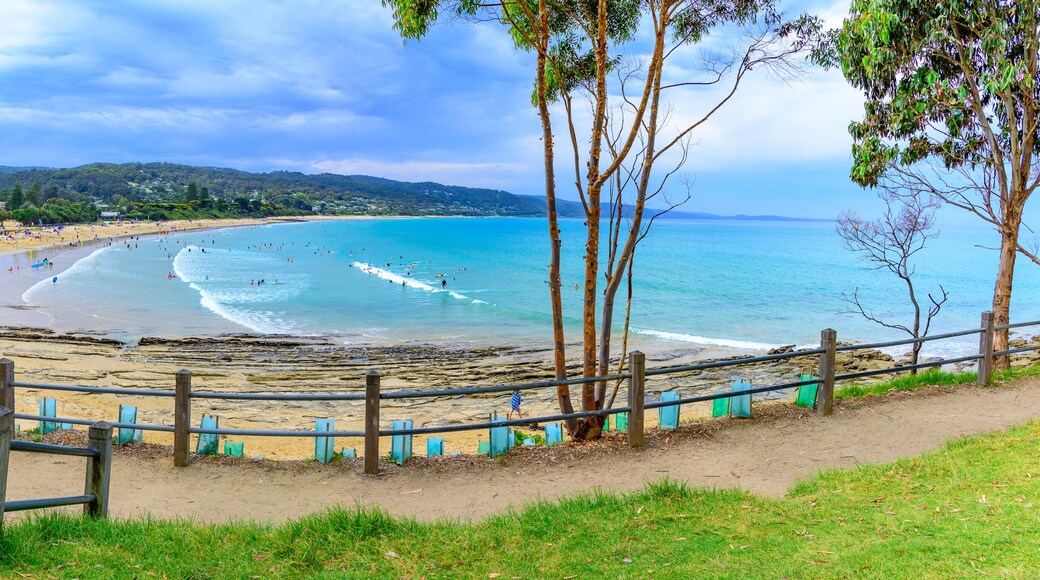 A wide panoramic view of the beach at Lorne, Victoria, Australia