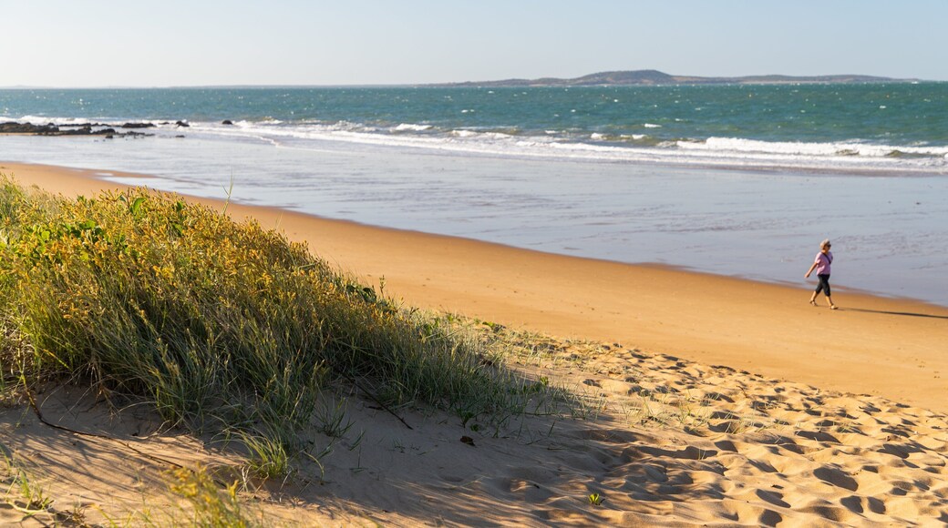 Tannum Sands Beach featuring a sandy beach and general coastal views as well as an individual femail