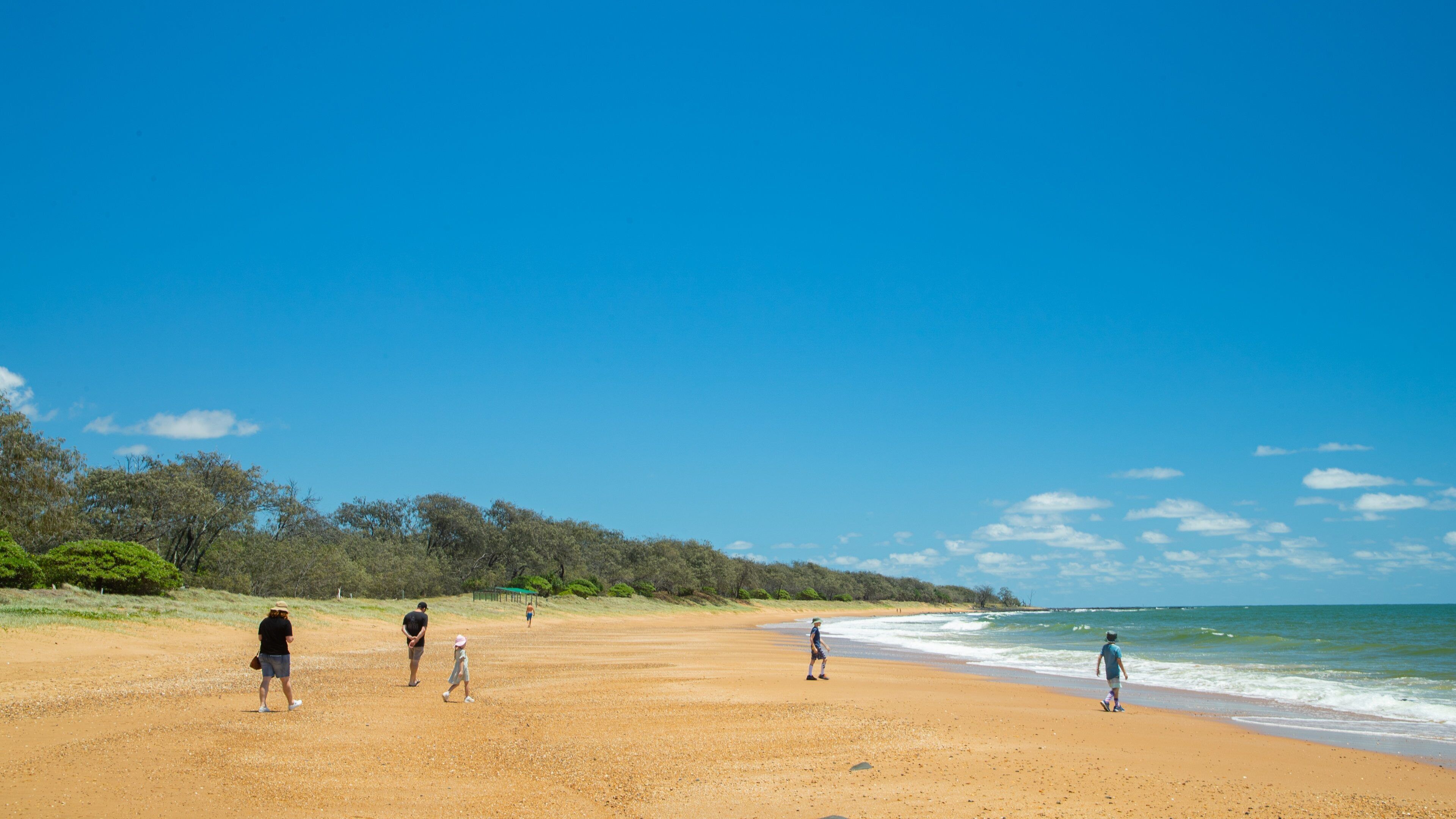 Mon Repos Beach which includes general coastal views and a sandy beach as well as a family
