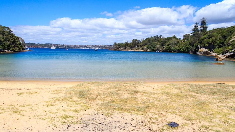 Collins Flat Beach, Sydney Harbour National Park