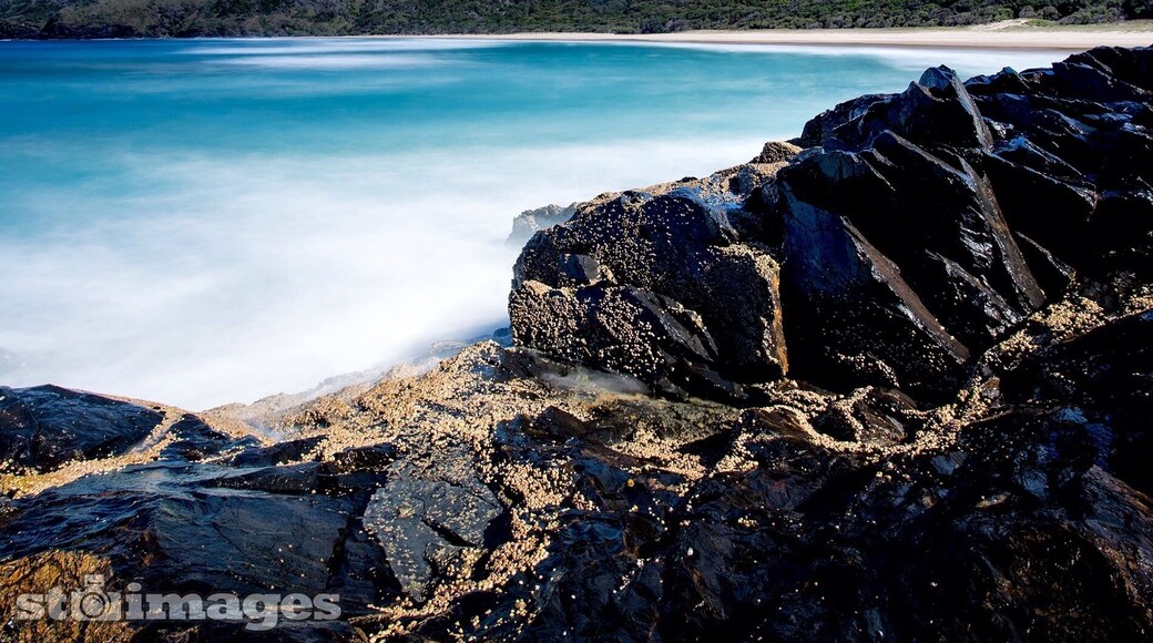 We found yet another amazing beach on our travels yesterday. This is Gap Beach, a paradise found down the end of a bumpy road in the Hat Head #nationalpark on the mid north coast of NSW. #bluedaymagic