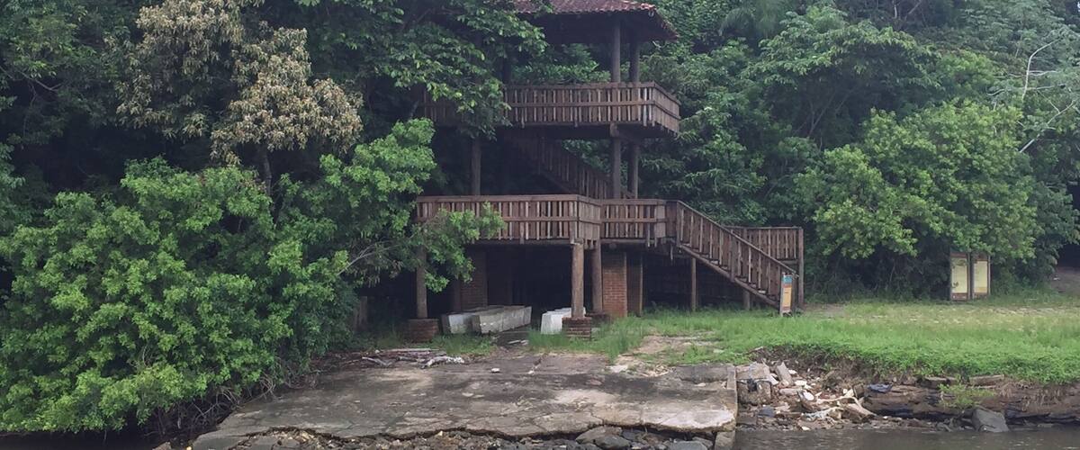 A wooden observation tower with a staircase, surrounded by dense green foliage and a river.