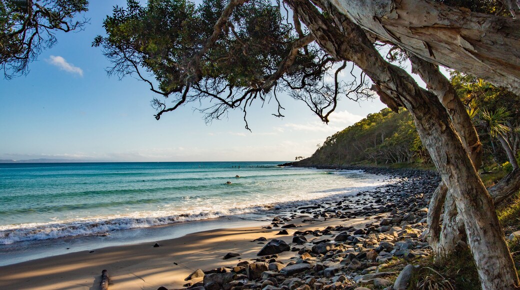 The view of the Tea Tree Bay Beach in Noosa Coastal Walk in the morning