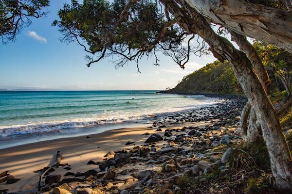 A rocky beach with clear turquoise water, a tree-lined shoreline, and distant mountains.